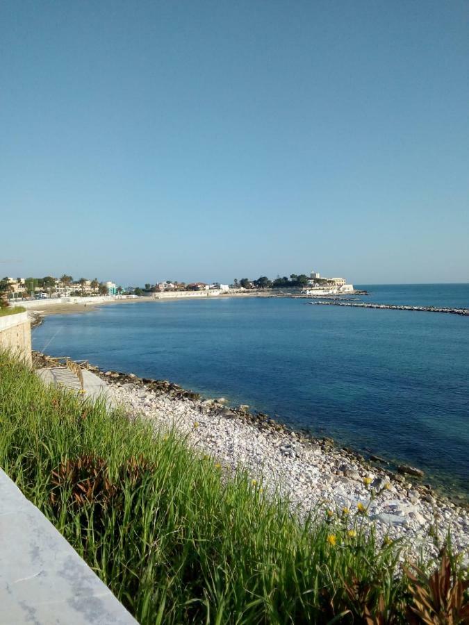 B&B Porto 特拉尼 外观 照片